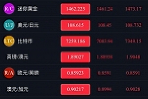 时间盘完整源码下载带码支付/微盘/外汇盘/可封装APP