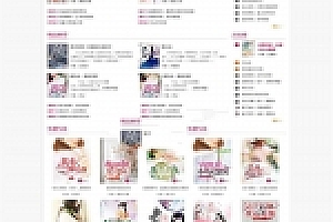 杰奇2.2专业版内核《若夏文学网》女生版小说网站源码下载 电脑端+WAP手机端+在线充值+关关采集器