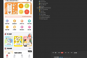 最新校园跑腿小程序源码下载