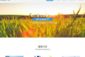 织梦响应式医疗机构类网站模板(自适应手机版)