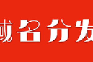 超简洁的二级域名分发系统源码下载