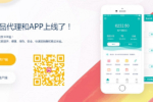 【企业级发卡系统】2020年首发新春最新企业级发卡网站源码下载附最新UI模板
