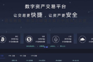 【数字货币系统】独家更新完美区块虚拟数据BTC+OTC币种玩法带充值源码下载