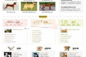 帝国CMS内核仿《小可爱宠物网》宠物信息平台网站源码下载全版机车收藏手机版_源码下载