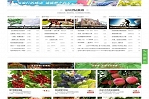 Discuz x3.3模板 迪恩轻旅行户外采摘游玩 商业版GBK_源码下载