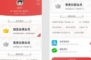 Discuz插件 微信源码购买会员用户组V2.180418商业版