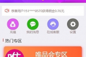 京东淘宝唯品会拼多多自动抢单系统源码下载可封装app