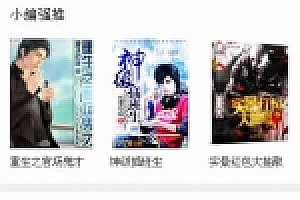 全网VIP免费小说小程序2.5开源源码下载带采集阅读书架会员中心充值