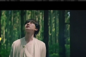 PHP二次开发版七星全网VIP视频解析源码下载