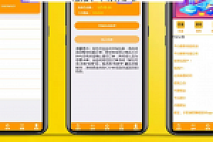 运营版抢单系统/接单返利/抢单/收单/接单/自动抢单源码下载/资金盘/区块链
