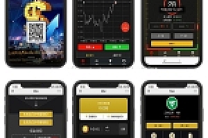 正版美元Max币圈/时间盘源码下载/外汇交易平台/Fast个人免签