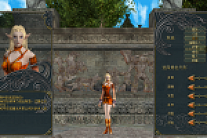 Gayax辉煌VM虚拟机端!单机版