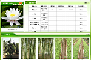 织梦绿色苗木种植基地网站织梦模板