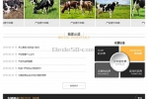 织梦家政学移动服务产业网站织梦模板带手机端