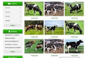 织梦绿色农林牧渔业网站织梦模板带手机端