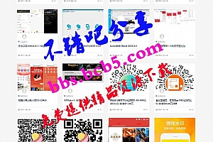 RiPro主题-子主题huzao-child V4.0下载