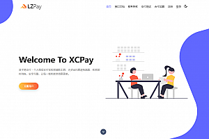 浪子易支付全新源码下载