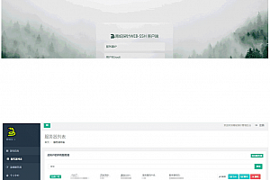 多服务器云探针源码下载(服务器云监控)