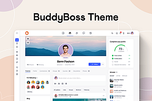 WordPress 定制主题BuddyBoss v2.4.30:个性化程度达到新高