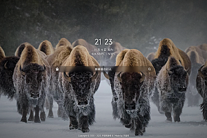 独特简约、美观大方的个人导航页源码下载