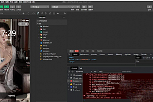 全内容自动采集宅男福利 4K壁纸小程序源码下载
