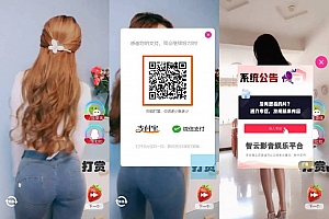 H5随机短视频滑动版带打赏源码下载,可封装APP软件或嵌入式观看