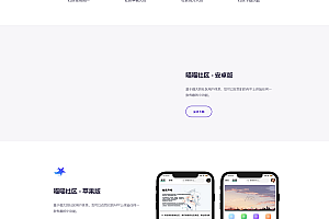 拟态风格APP下载页双端源码下载