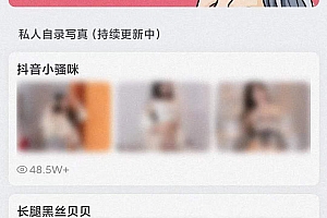 付费图片系统 WordPress主题 可用于个人写真站等