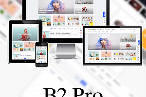 7B2 PRO主题5.4.2免授权直接安装